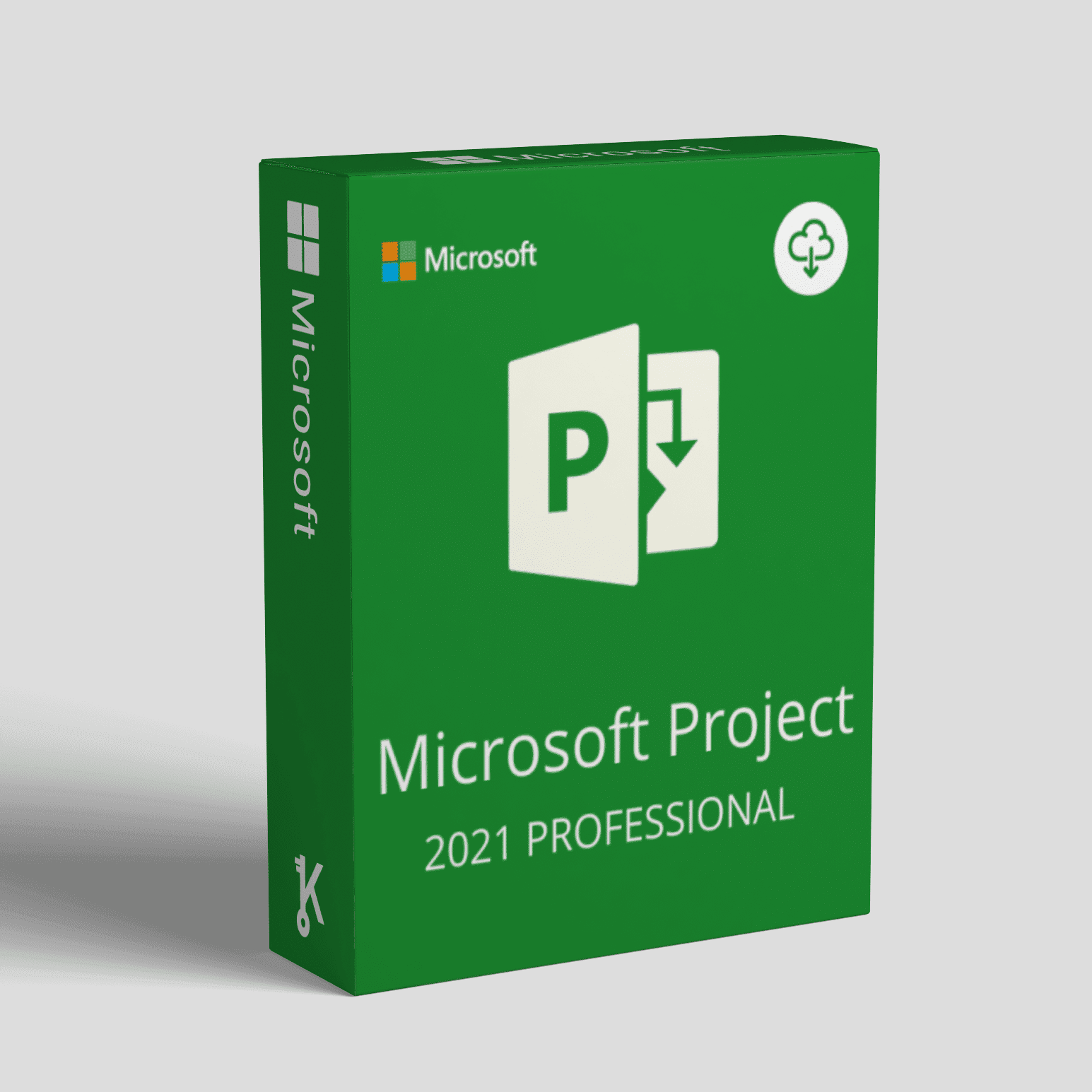 Project-Professional-2021-Activation-Key-–-PC.png
