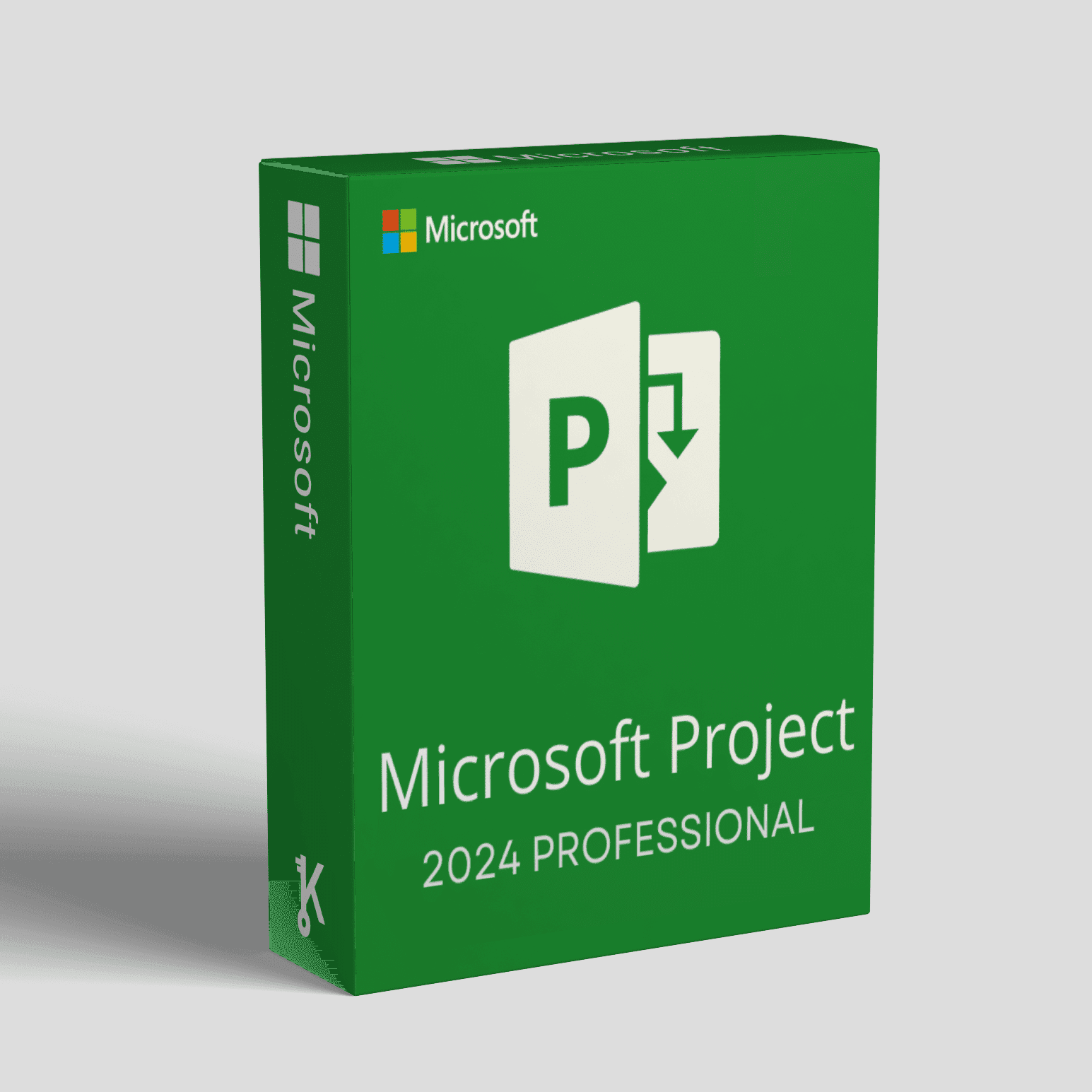 Project-Professional-2024-–-PC.png