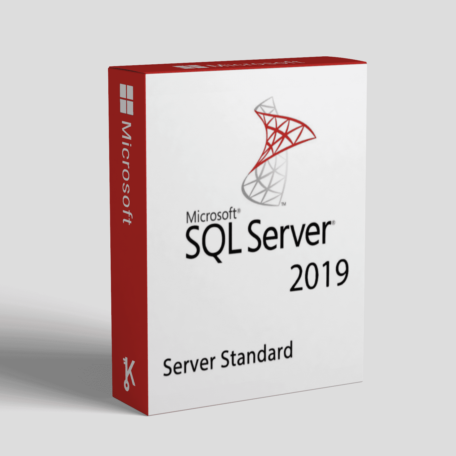 SQL-Server-2019-standard-Activation-key-–-1-USER.png