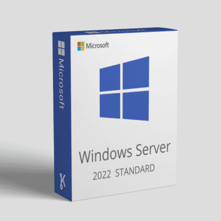 Windows Server 2022 Standard Activation Key